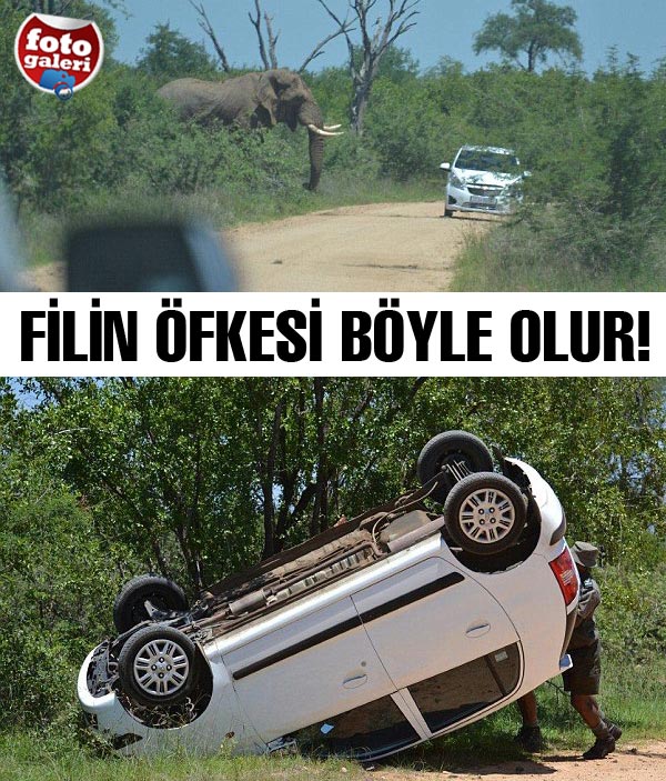 "Burası yol fil yolu, araç giremez" "Burası yol fil yolu, araç giremez"