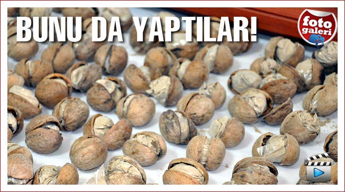5 kilo eroini cevizlere sığdırdılar 5 kilo eroini cevizlere sığdırdılar