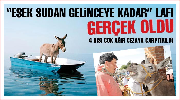 "Eşek sudan gelinceye kadar" lafı gerçek oldu "Eşek sudan gelinceye kadar" lafı gerçek oldu