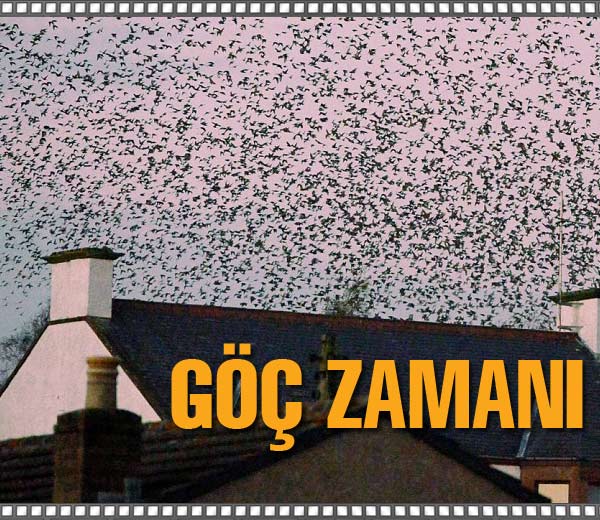Göç zamanı