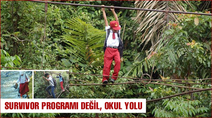 Survivor programı değil, okul yolu