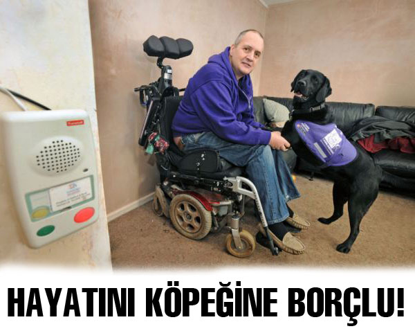 Şeker komasına giren adamı, köpeği kurtardı