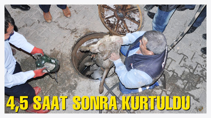 4,5 saat sonra kurtuldu 4,5 saat sonra kurtuldu