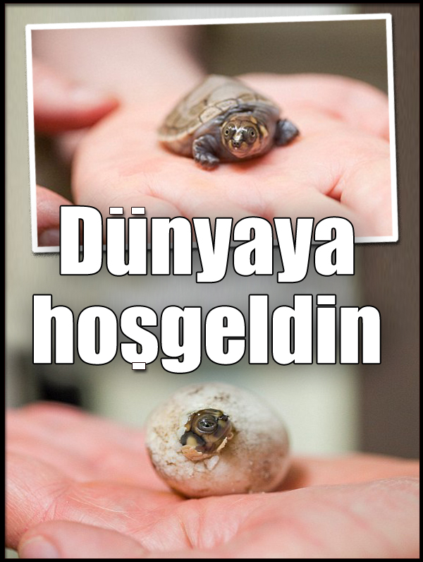 Hoşgeldin dünyaya! Hoşgeldin dünyaya!