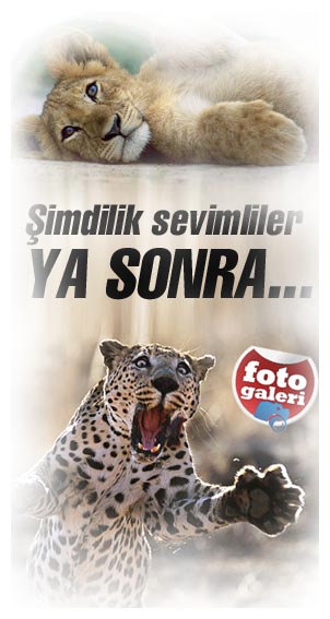 Şimdilik sevimliler, ya sonra... Şimdilik sevimliler, ya sonra...