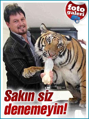 Evde kaplan besliyorlar
