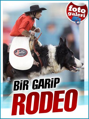 Bir garip rodeo Bir garip rodeo
