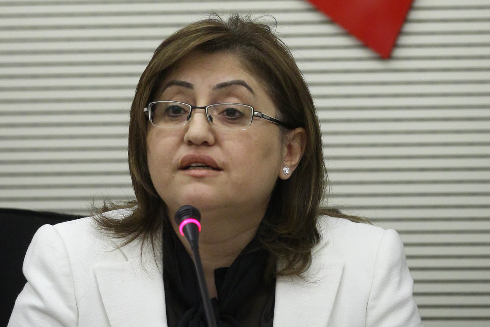 Şahin: Kürtaj taslağı herkesi memnun edecek Şahin: Kürtaj taslağı herkesi memnun edecek