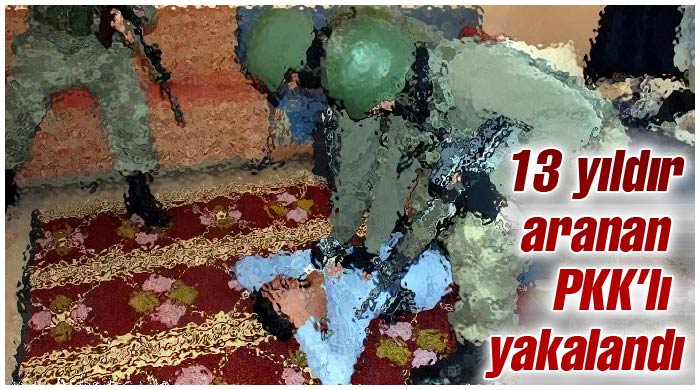 PKK&#039;nın Tendürek Aladağ sorumlusu yakalandı