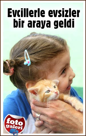 Evcillerle evsizler bir araya geldi Evcillerle evsizler bir araya geldi