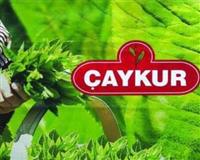 Çaykur, özelleştirilmeyecek Çaykur, özelleştirilmeyecek