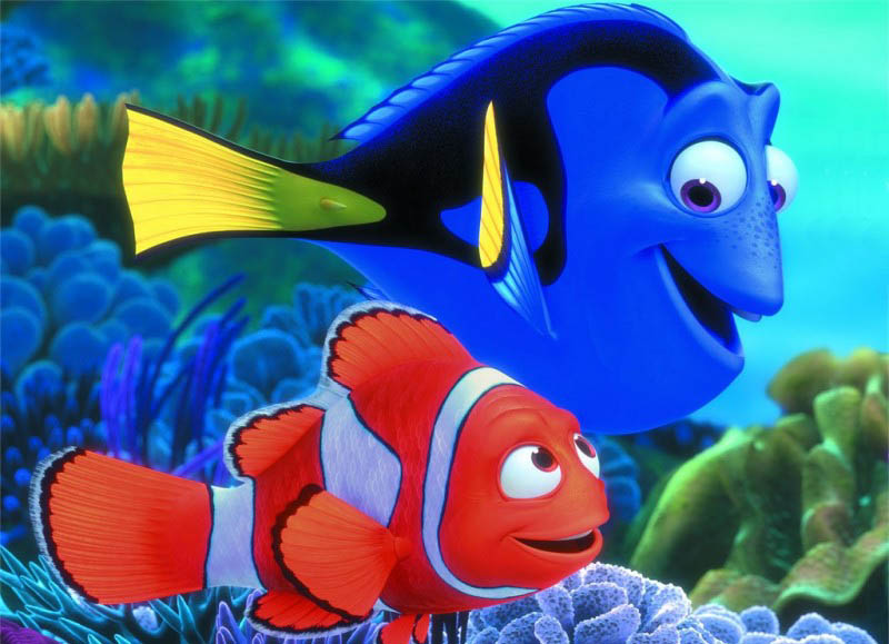 Kayıp Balık Nemo'nun devamı geliyor Kayıp Balık Nemo'nun devamı geliyor