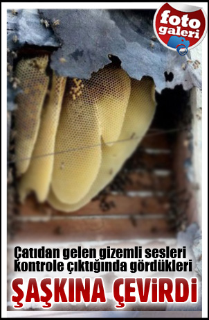 Çatıdaki gizem çözüldü Çatıdaki gizem çözüldü