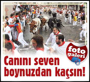 Canını seven boynuzdan kaçsın! Canını seven boynuzdan kaçsın!