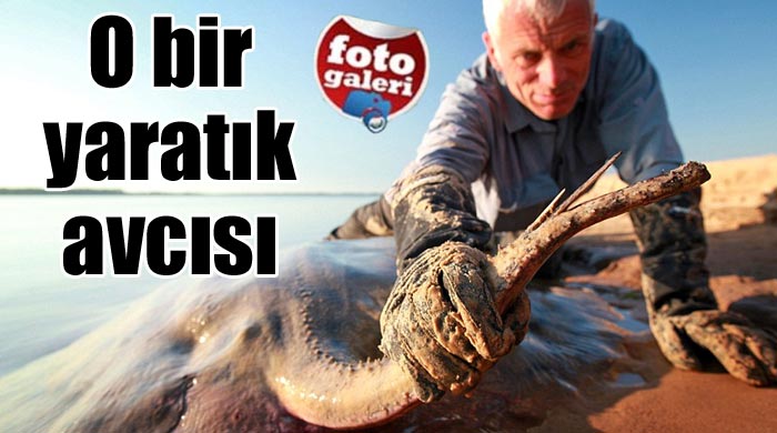 Su altı yaratıkları avcısı