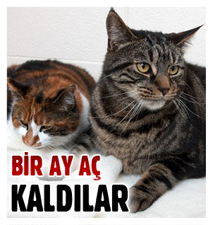 Şişmanlığın faydası! Şişmanlığın faydası!