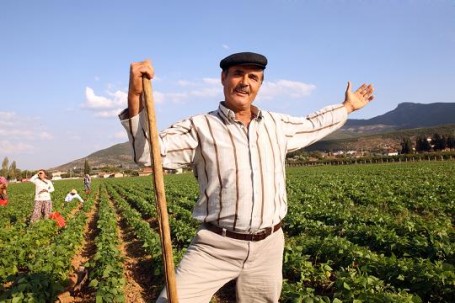 Borç ertelemesinden 105 bin 430 çiftçi yararlandı Borç ertelemesinden 105 bin 430 çiftçi yararlandı