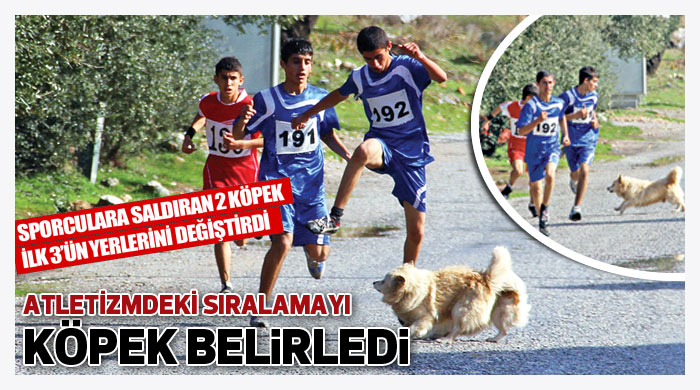 Atletizmdeki sıralamayı köpek belirledi Atletizmdeki sıralamayı köpek belirledi
