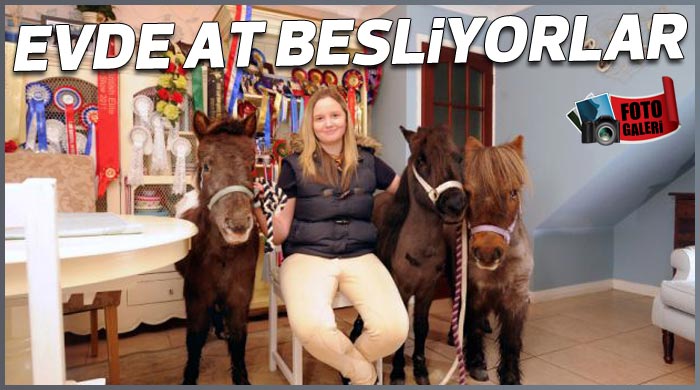 Evde at besliyorlar