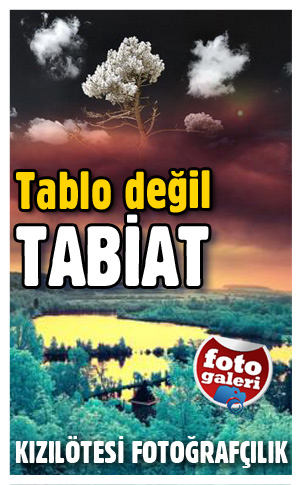 Kızılötesi fotoğrafçılıkla harika görüntüler