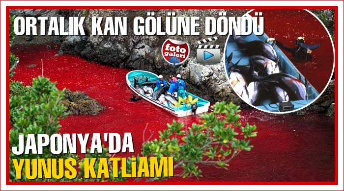 Ortalık kan gölüne döndü