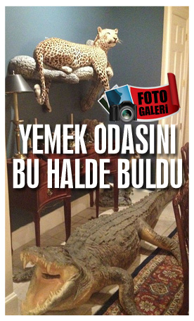 Misafir, yemek odasını görünce şok oldu Misafir, yemek odasını görünce şok oldu