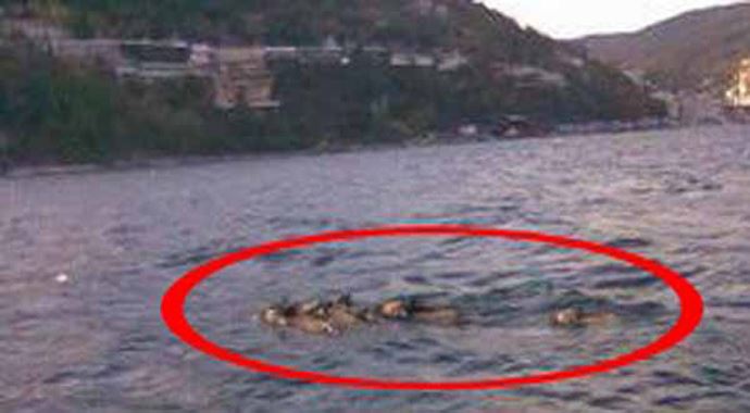 İstanbul Boğazı'nda şaşırtan görüntü İstanbul Boğazı'nda şaşırtan görüntü