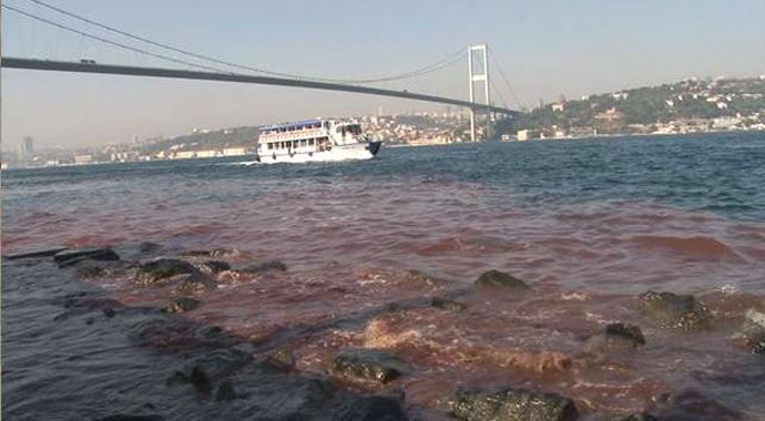 İstanbul Boğazı kan gölüne döndü İstanbul Boğazı kan gölüne döndü