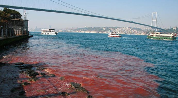 İstanbul Boğaz'ı yine kan gölüne döndü