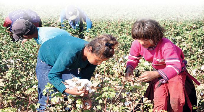 'Kardelen'in yevmiyesi devletten 'Kardelen'in yevmiyesi devletten