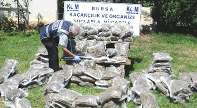 Bursa'da 180 kilogram esrar ele geçirildi Bursa'da 180 kilogram esrar ele geçirildi