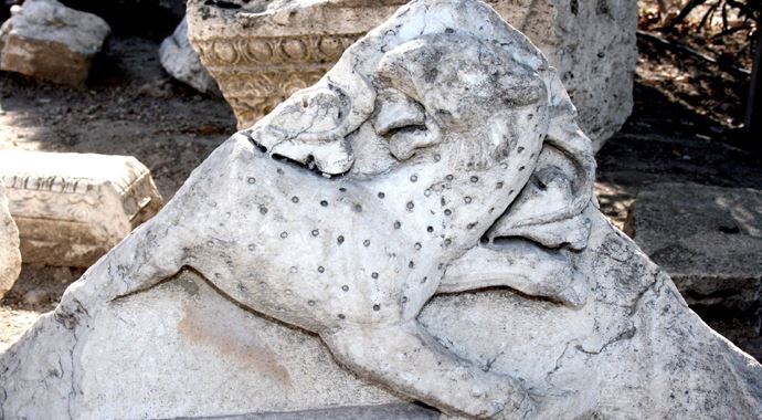 Denizli'de 800 yıllık Anadolu leoparı