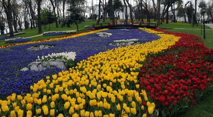 Lale zirvesi İstanbul'da yapılacak Lale zirvesi İstanbul'da yapılacak