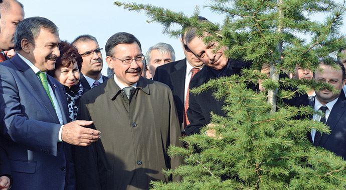 Başbakan Erdoğan: Biz çevreciyiz be! Kimse yarışamaz