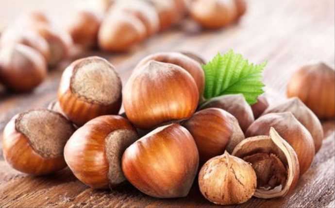 Hangi ülke, ne sebepten Türk fındığını istemiyor Hangi ülke, ne sebepten Türk fındığını istemiyor