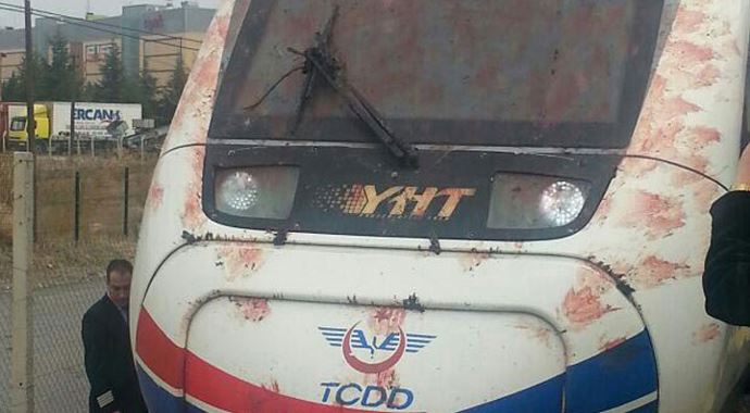 Yüksek Hızlı Tren kuş sürüsüne çarptı