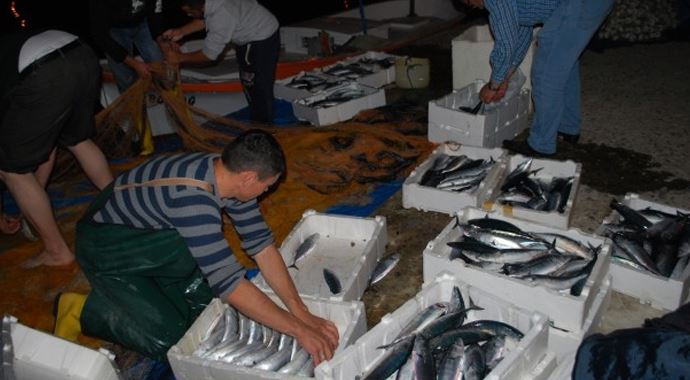 Karadenizli balıkçılara palamut sürprizi