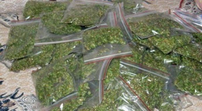 Mersin'de esrar operasyonu Mersin'de esrar operasyonu