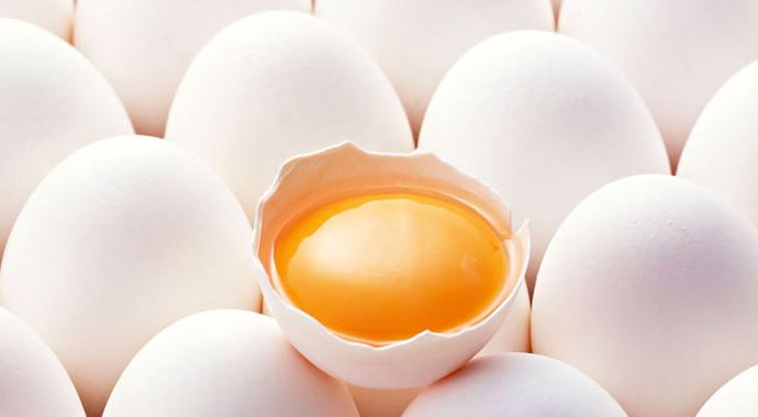 Anne sütünden sonra en iyi protein kaynağı