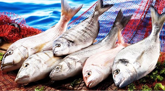 Balık fiyatları zirve yapacak Balık fiyatları zirve yapacak