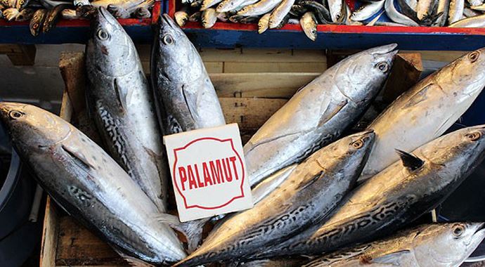 Palamut ve lüferin fiyatı el yakıyor