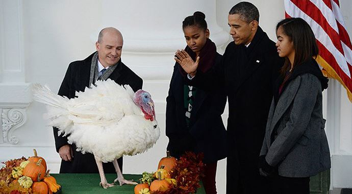 Obama iki hindiyi kesilmekten kurtardı Obama iki hindiyi kesilmekten kurtardı