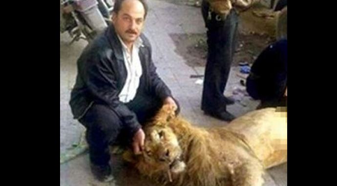 Açlıktan aslan yediler Açlıktan aslan yediler