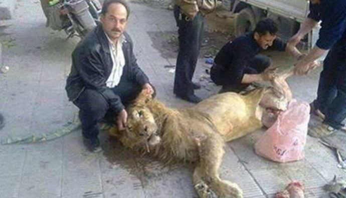 Suriye&#039;de &#039;açlıktan aslan yediler&#039; iddiası