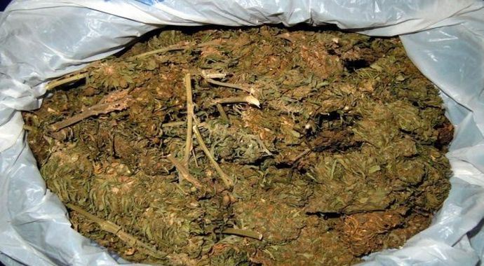 Uyuşturucu operasyonunda 1 kişi tutuklandı