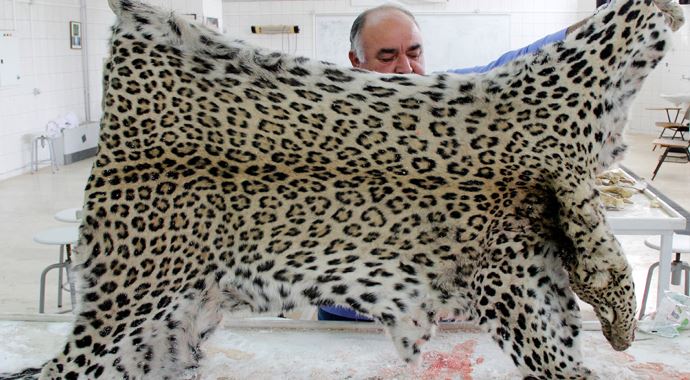 Diyarbakır&#039;da öldürülen leopar için özel geldi