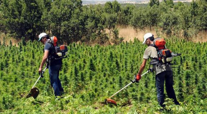 Diyarbakır'da rekor uyuşturucu, işte o rakamlar Diyarbakır'da rekor uyuşturucu, işte o rakamlar