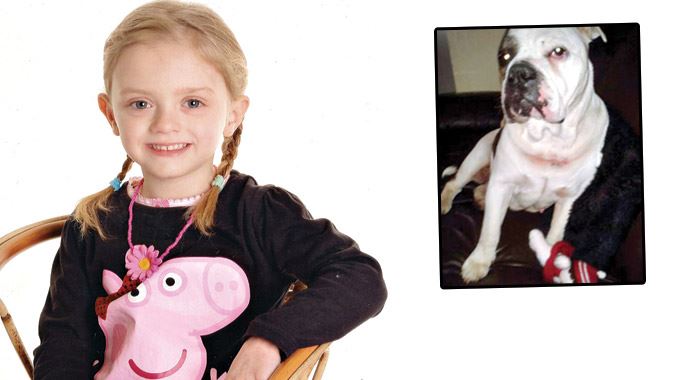 Evdeki pitbull parçaladı Evdeki pitbull parçaladı