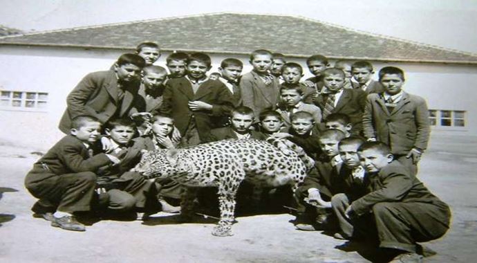 Diyarbakır&#039;daki leopar olayının benzeri 59 yıl önce de yaşanmış
