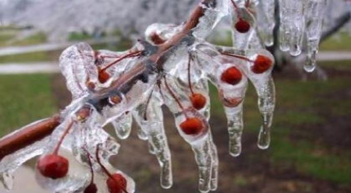 Dikkat Meteorolojiden zirai don uyarısı Dikkat Meteorolojiden zirai don uyarısı